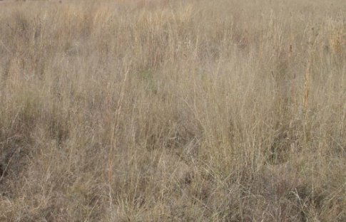 Commercial Property for Sale in Doornrandje Gauteng