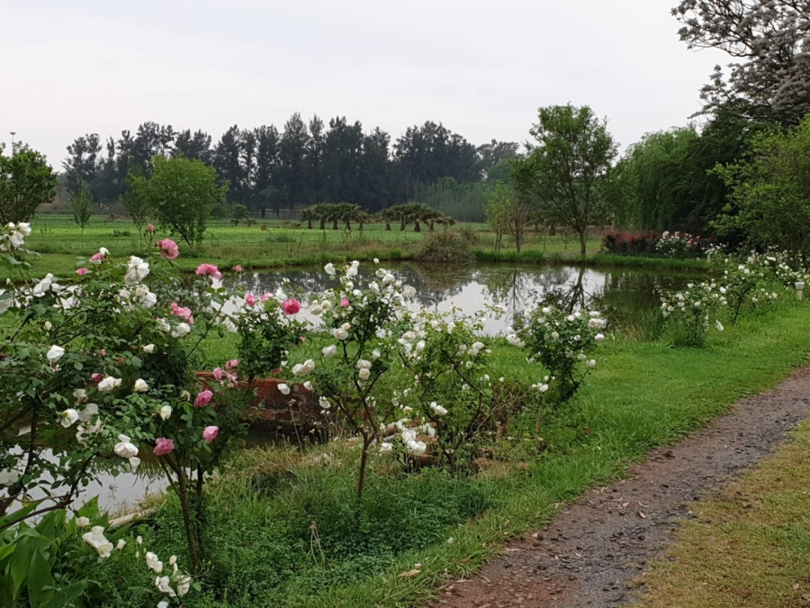 Commercial Property for Sale in Pretoria Central Gauteng