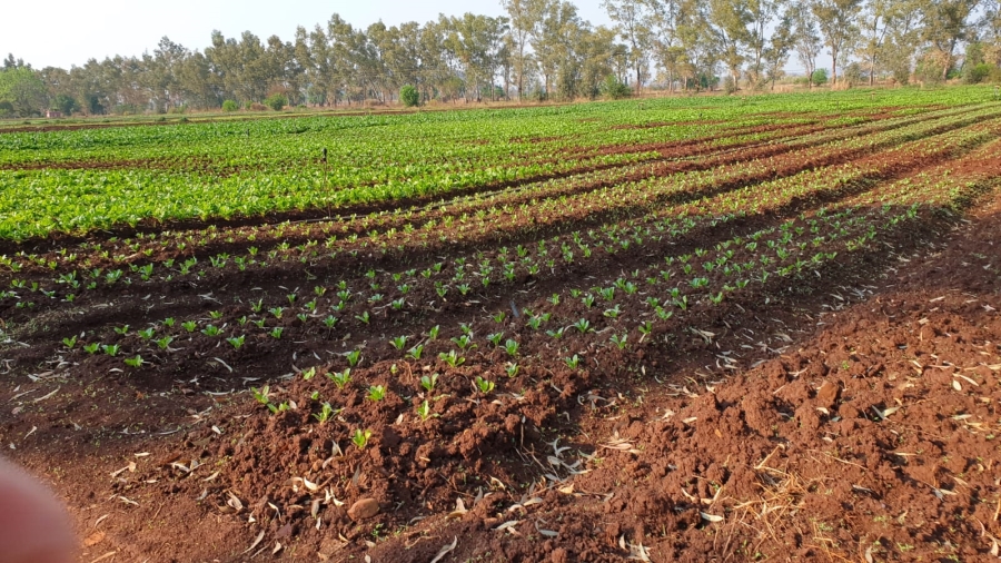 Commercial Property for Sale in Pretoria Central Gauteng