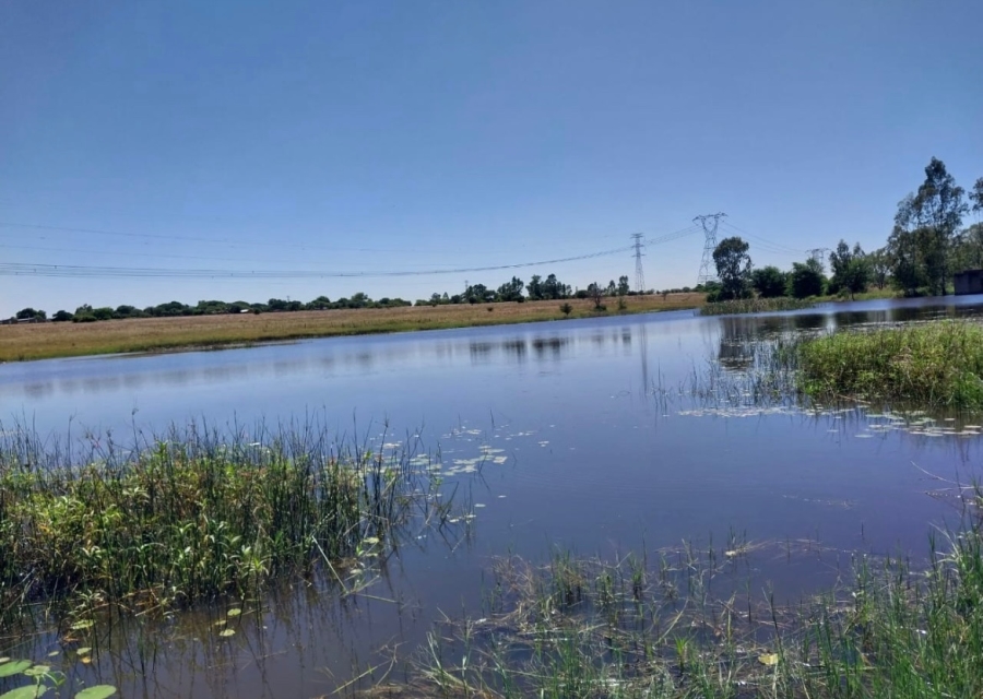 Commercial Property for Sale in Onderstepoort Gauteng