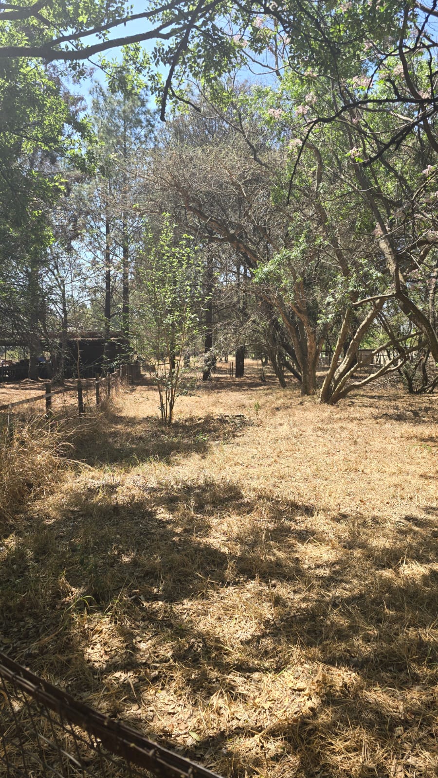 3 Bedroom Property for Sale in President Park Gauteng