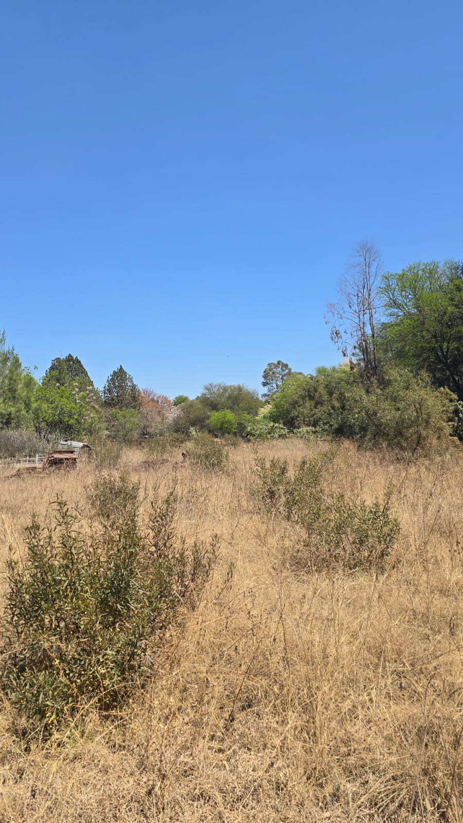 3 Bedroom Property for Sale in President Park Gauteng