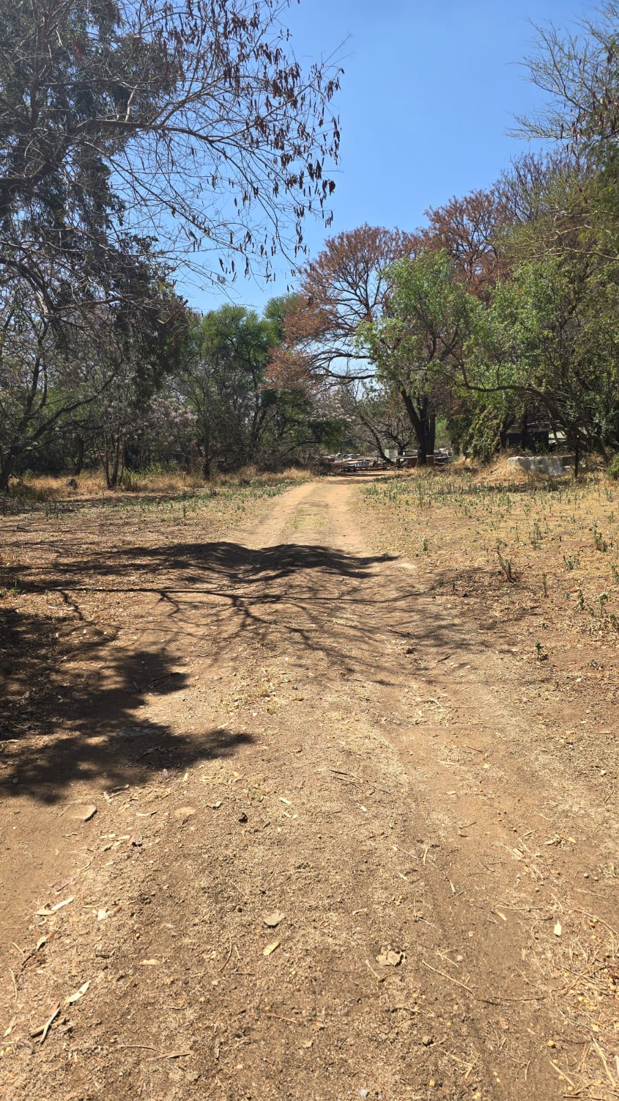 3 Bedroom Property for Sale in President Park Gauteng