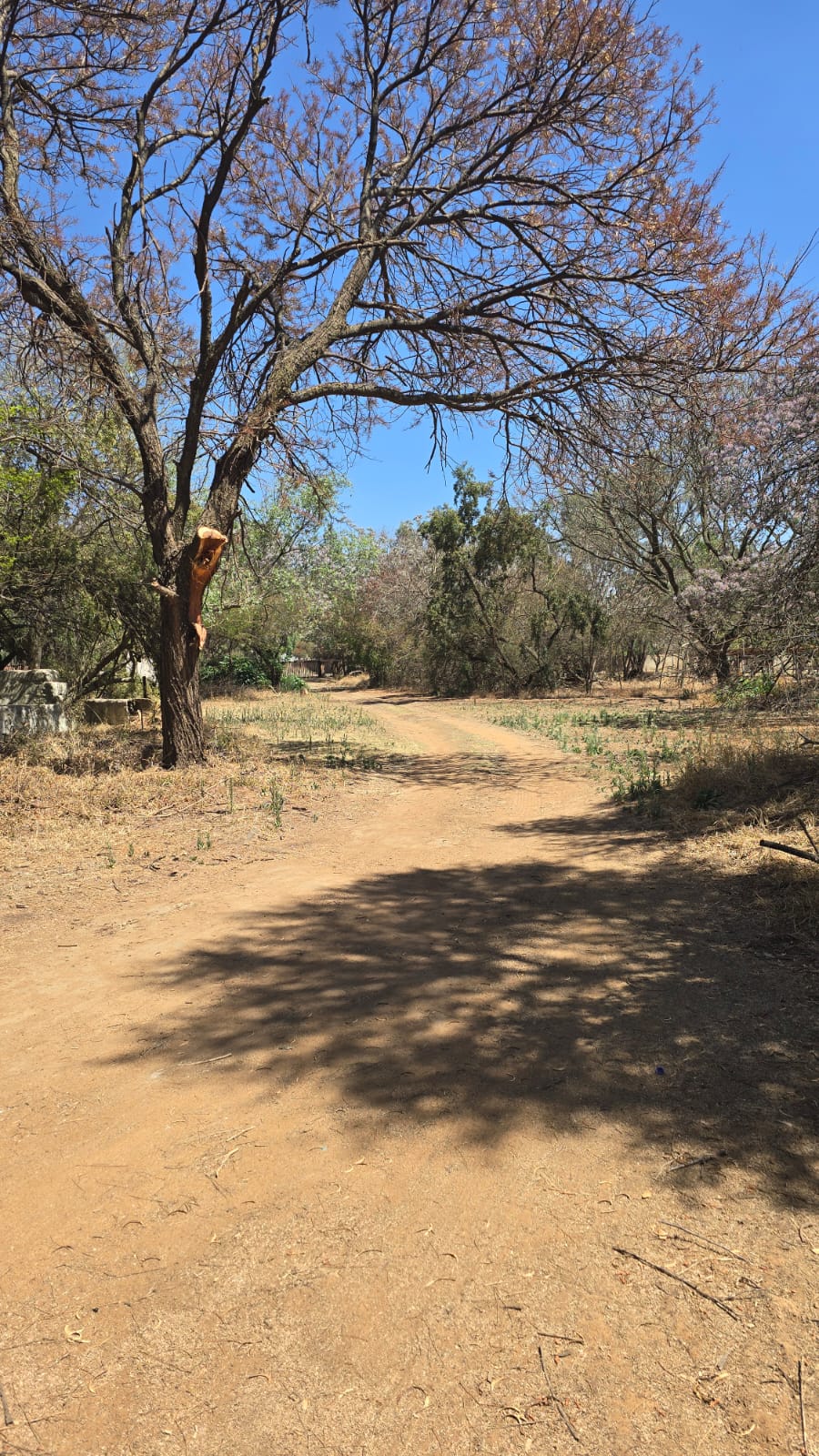 3 Bedroom Property for Sale in President Park Gauteng