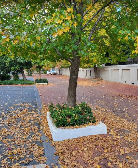 To Let 1 Bedroom Property for Rent in Morningside Ext 40 Gauteng