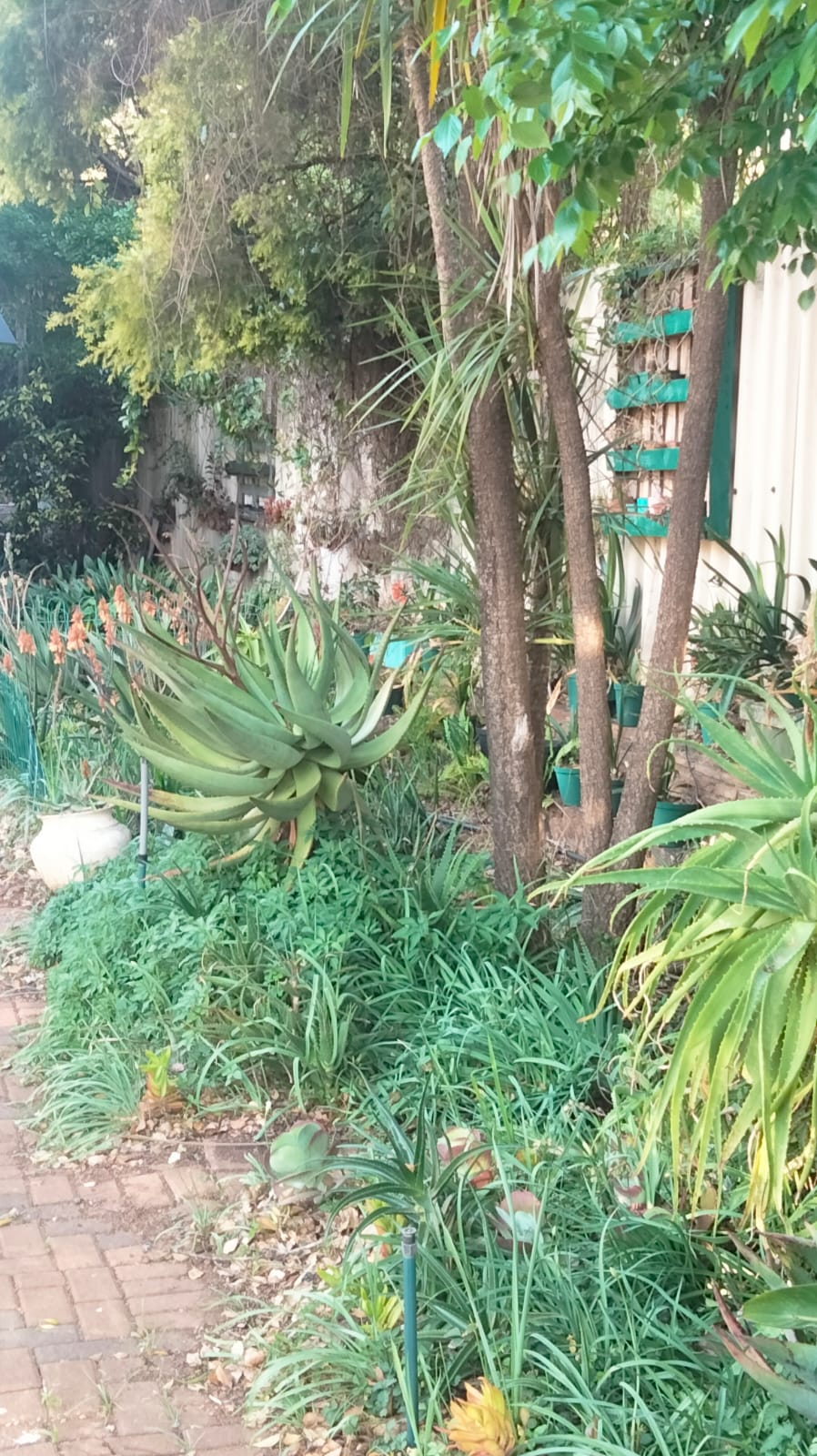 4 Bedroom Property for Sale in Valhalla Gauteng