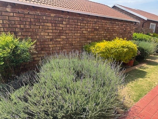 2 Bedroom Property for Sale in Wilro Park Gauteng