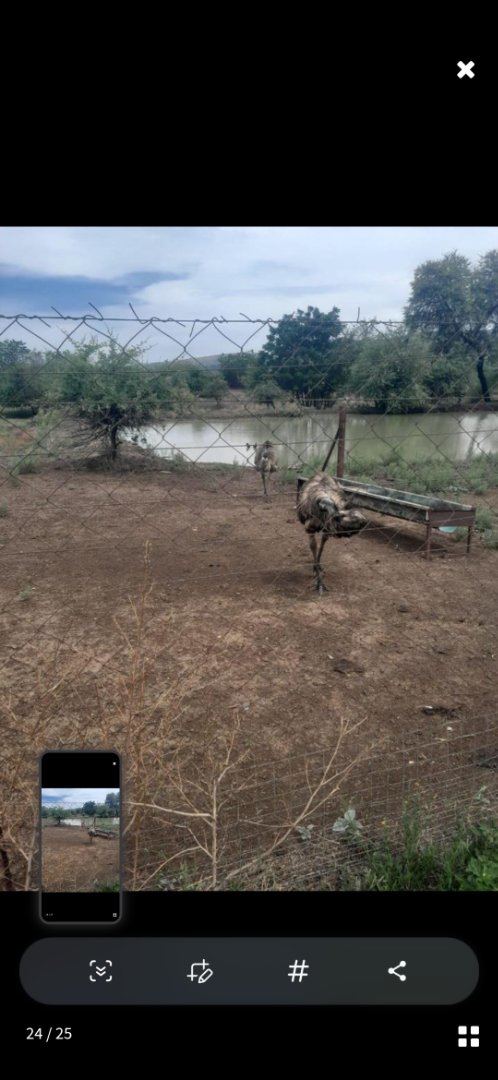 Commercial Property for Sale in Pretoria West Gauteng