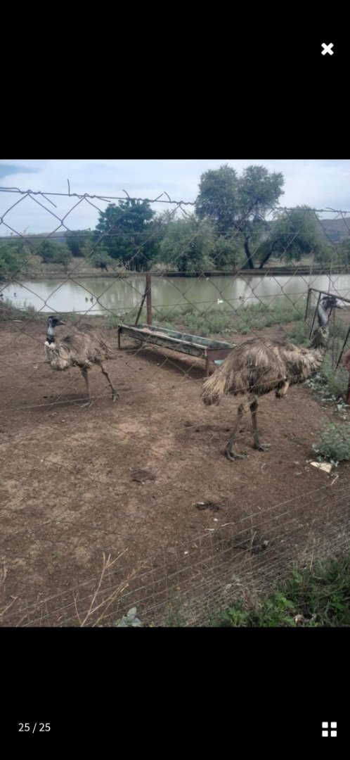 Commercial Property for Sale in Pretoria West Gauteng