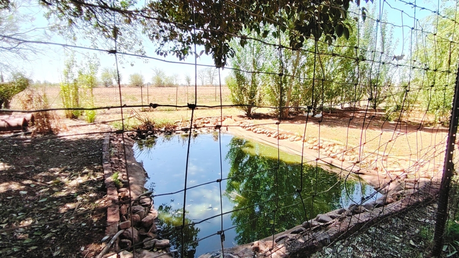 Commercial Property for Sale in Risiville Gauteng
