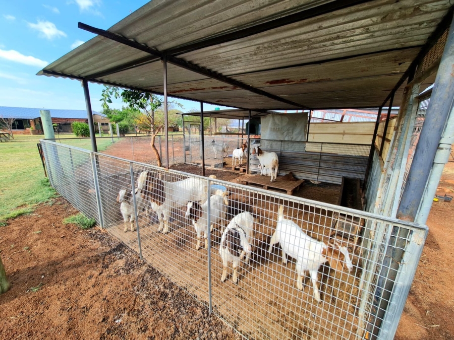 Commercial Property for Sale in Honingneskrans Ah Gauteng