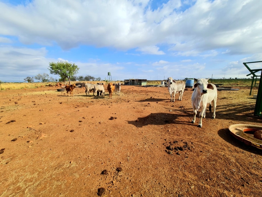 Commercial Property for Sale in Honingneskrans Ah Gauteng
