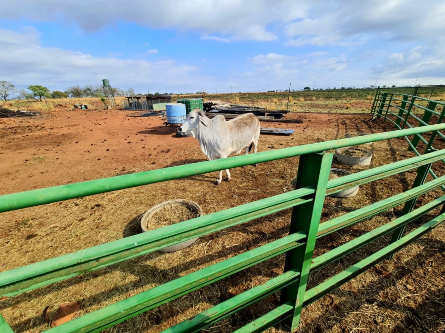 Commercial Property for Sale in Honingneskrans Ah Gauteng
