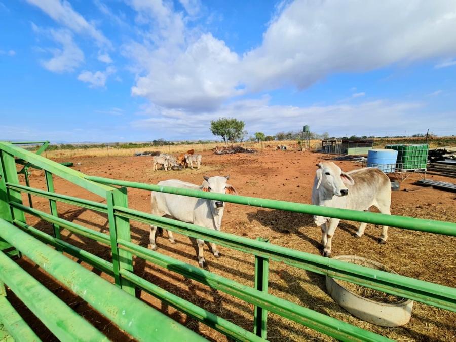 Commercial Property for Sale in Honingneskrans Ah Gauteng