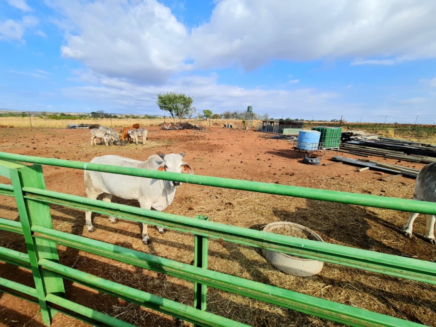 Commercial Property for Sale in Honingneskrans Ah Gauteng