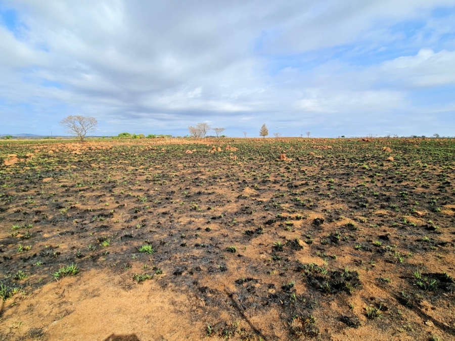 Commercial Property for Sale in Honingneskrans Ah Gauteng