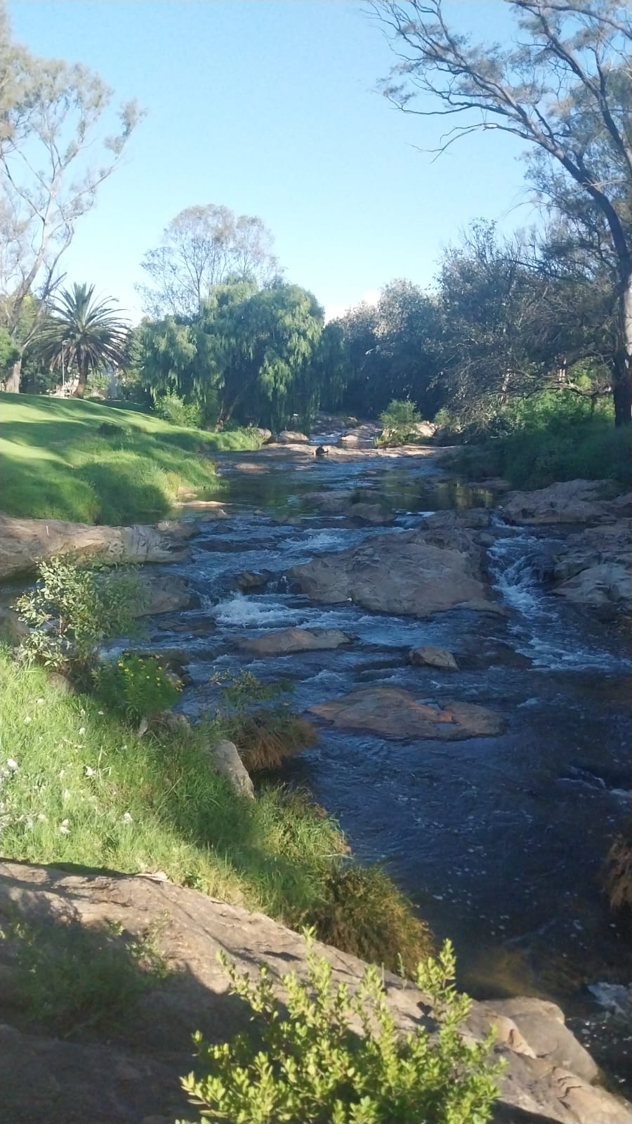 To Let 2 Bedroom Property for Rent in Lombardy East Gauteng