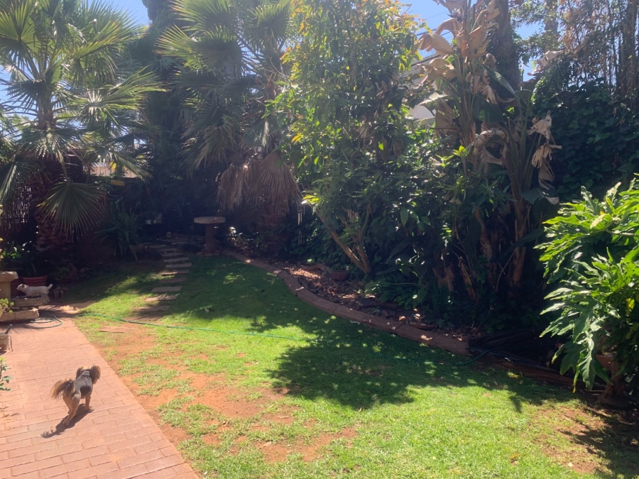 To Let 3 Bedroom Property for Rent in Valhalla Gauteng