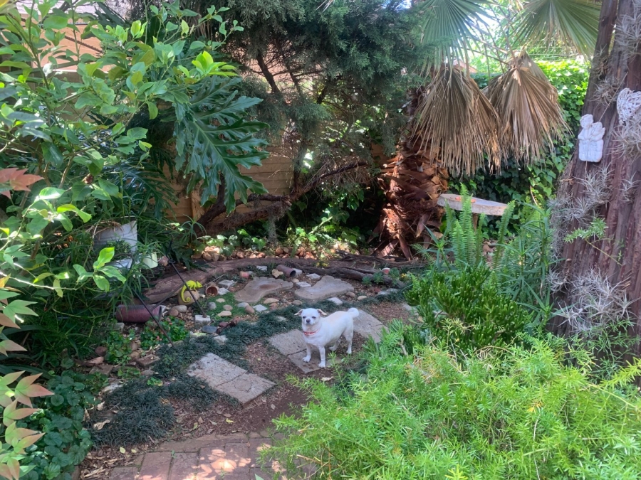 To Let 3 Bedroom Property for Rent in Valhalla Gauteng