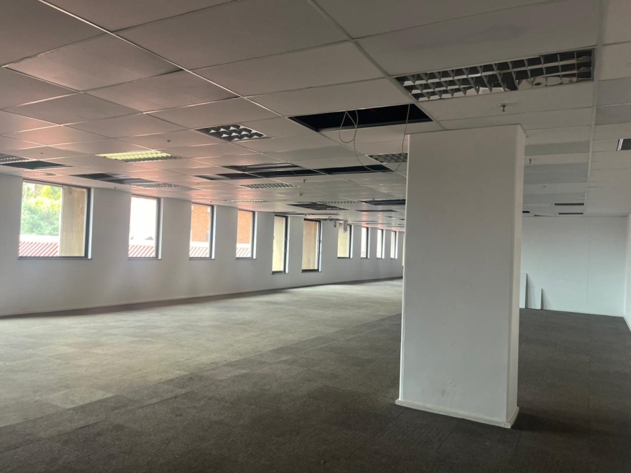 To Let commercial Property for Rent in Arcadia Gauteng