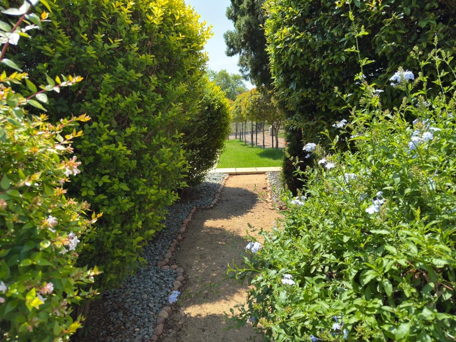To Let commercial Property for Rent in Driefontein Gauteng