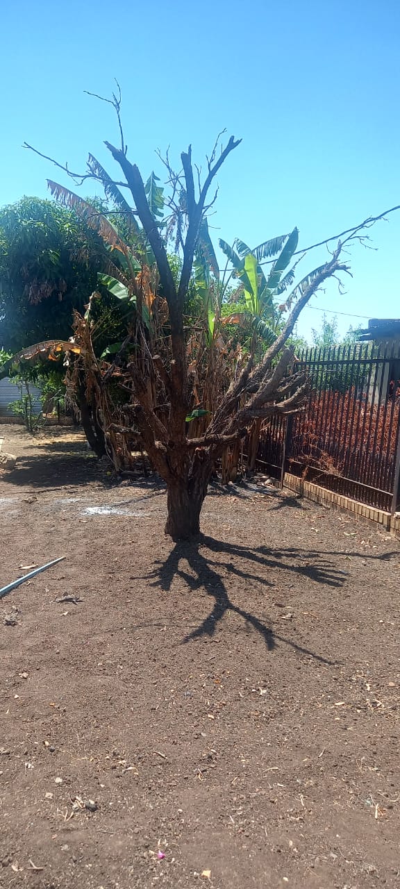 4 Bedroom Property for Sale in Ga-Rankuwa Unit 7 Gauteng