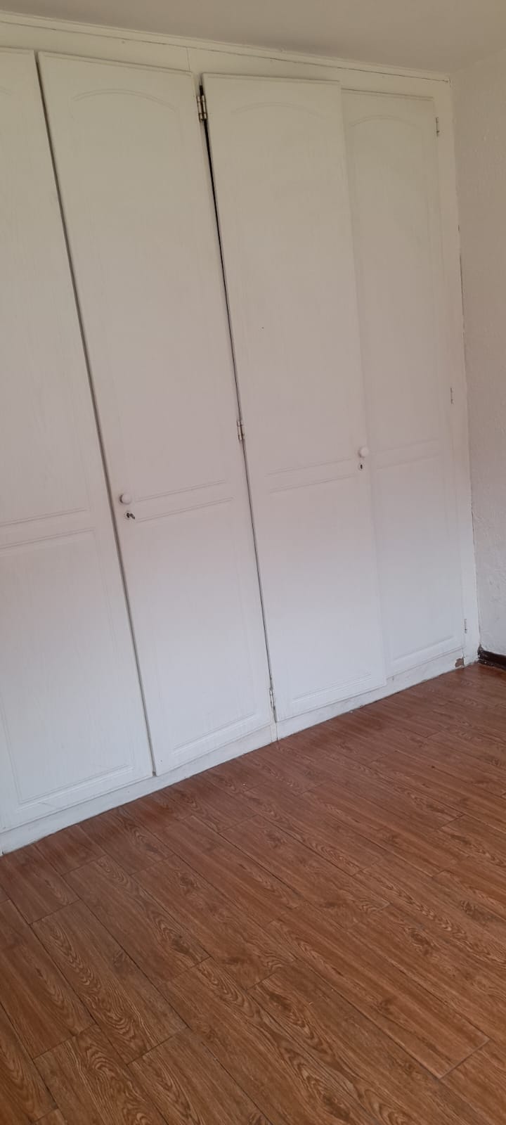 To Let  Bedroom Property for Rent in Morning Hill Gauteng