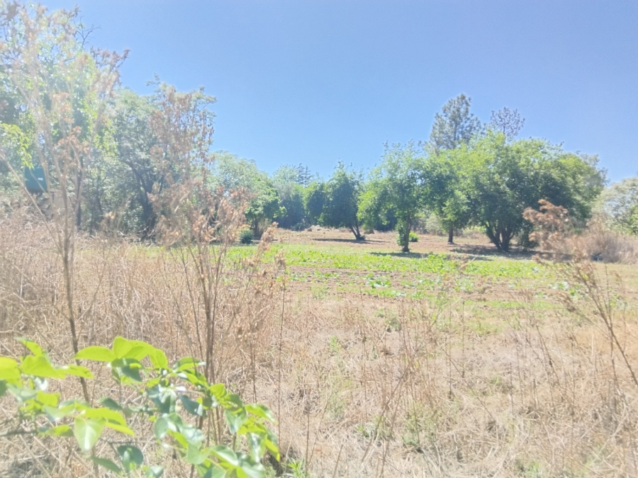 To Let commercial Property for Rent in Glen Austin Gauteng
