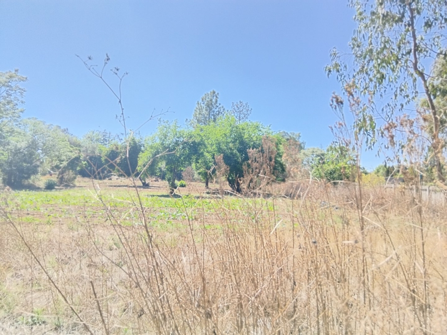 To Let commercial Property for Rent in Glen Austin Gauteng