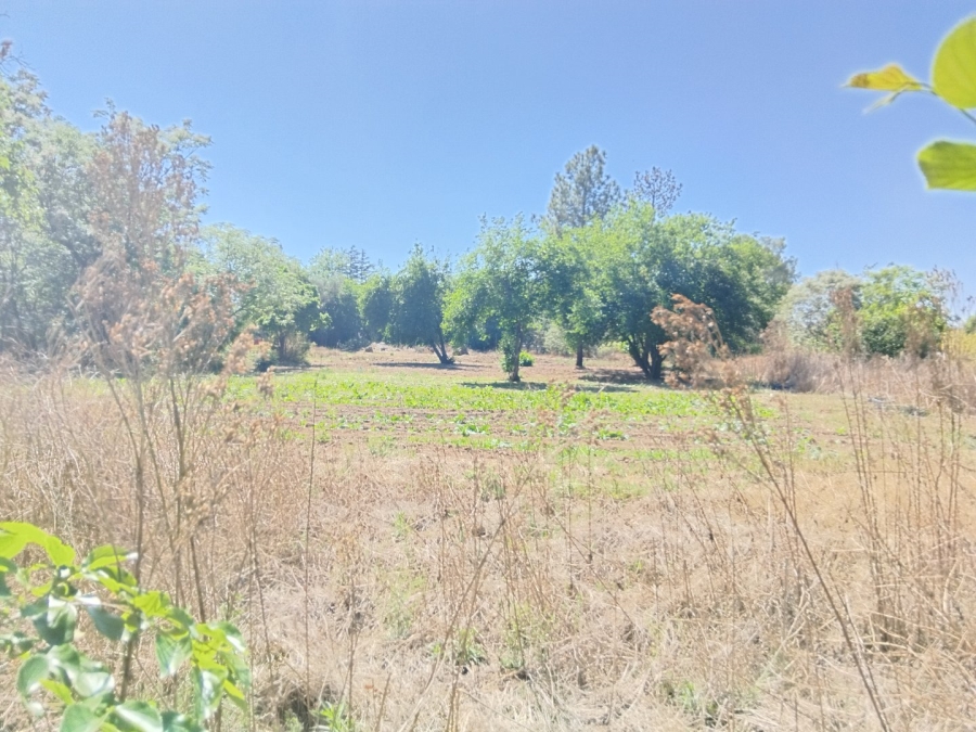 To Let commercial Property for Rent in Glen Austin Gauteng