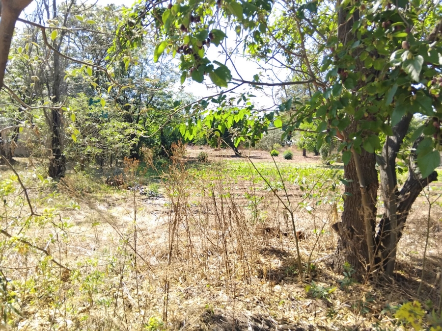 To Let commercial Property for Rent in Glen Austin Gauteng