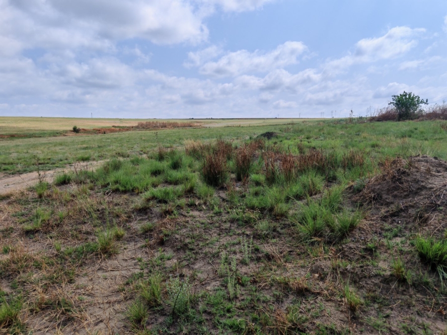 Commercial Property for Sale in Rietfontein Gauteng
