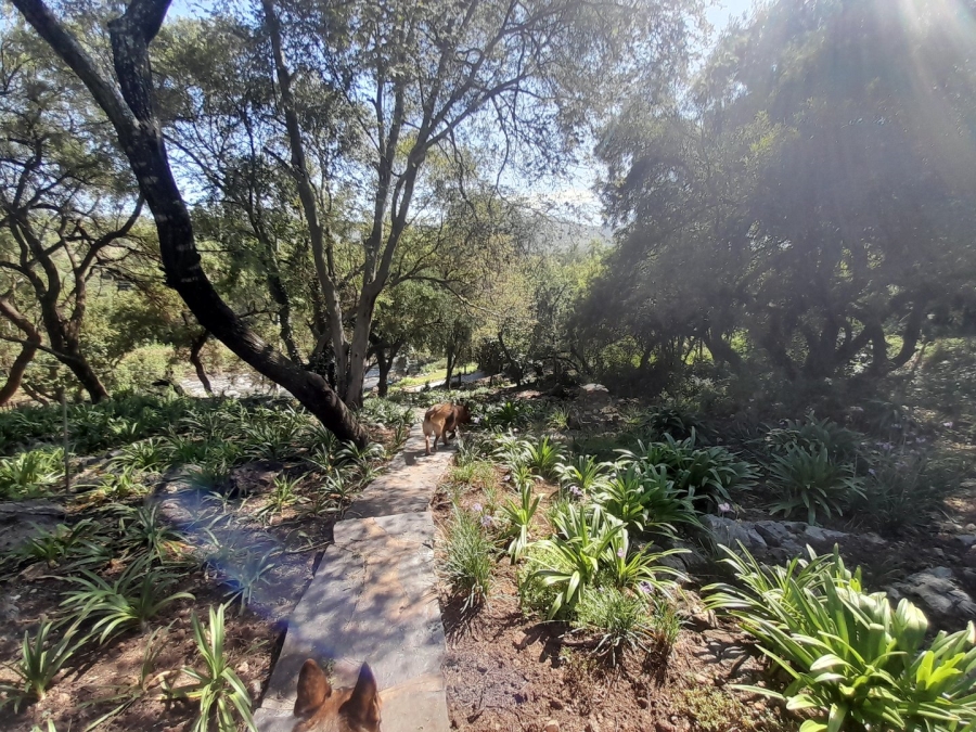 9 Bedroom Property for Sale in Roodekrans Gauteng