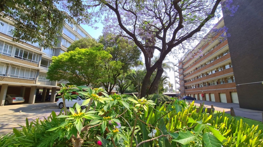Commercial Property for Sale in Rietfontein Gauteng