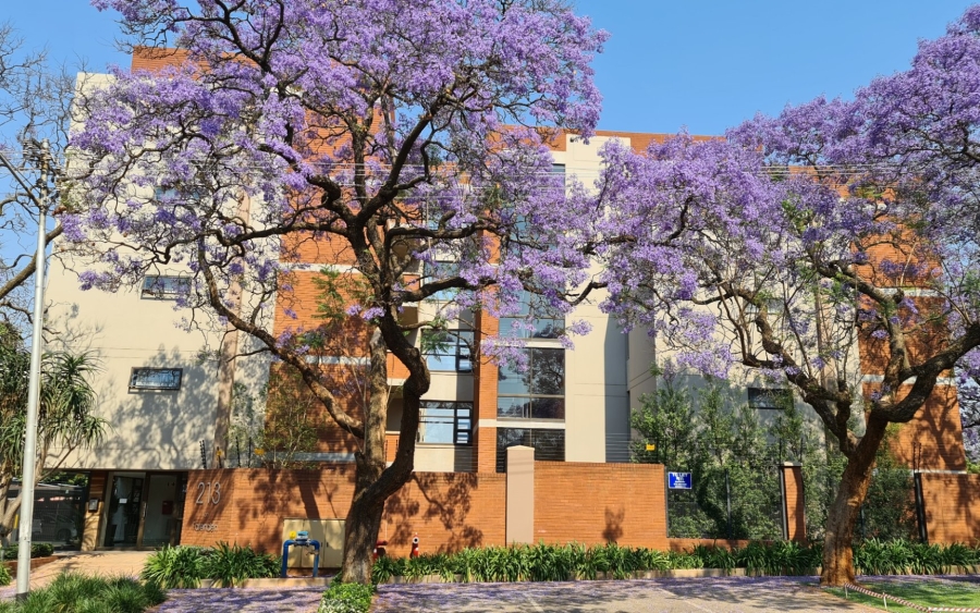 Commercial Property for Sale in Arcadia Gauteng