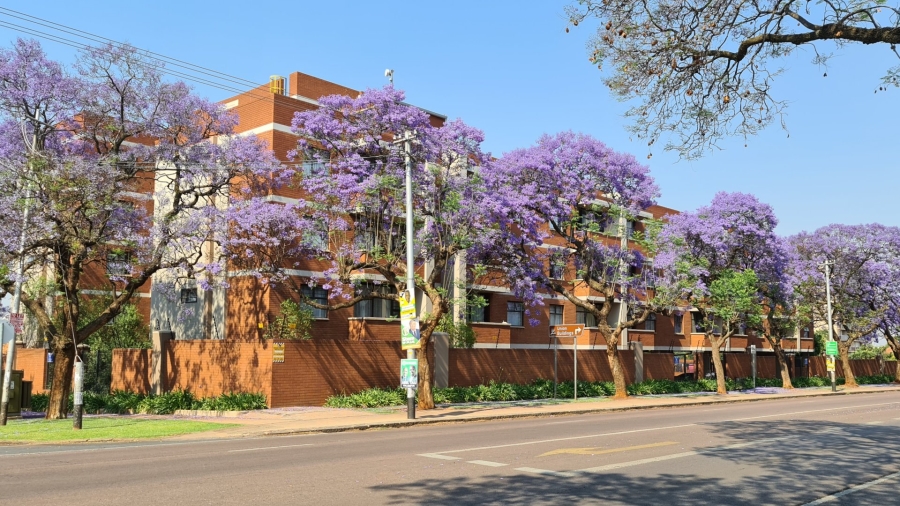 Commercial Property for Sale in Arcadia Gauteng