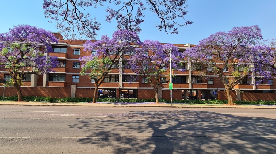 Commercial Property for Sale in Arcadia Gauteng
