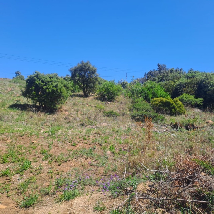 Commercial Property for Sale in Vaal Marina Gauteng