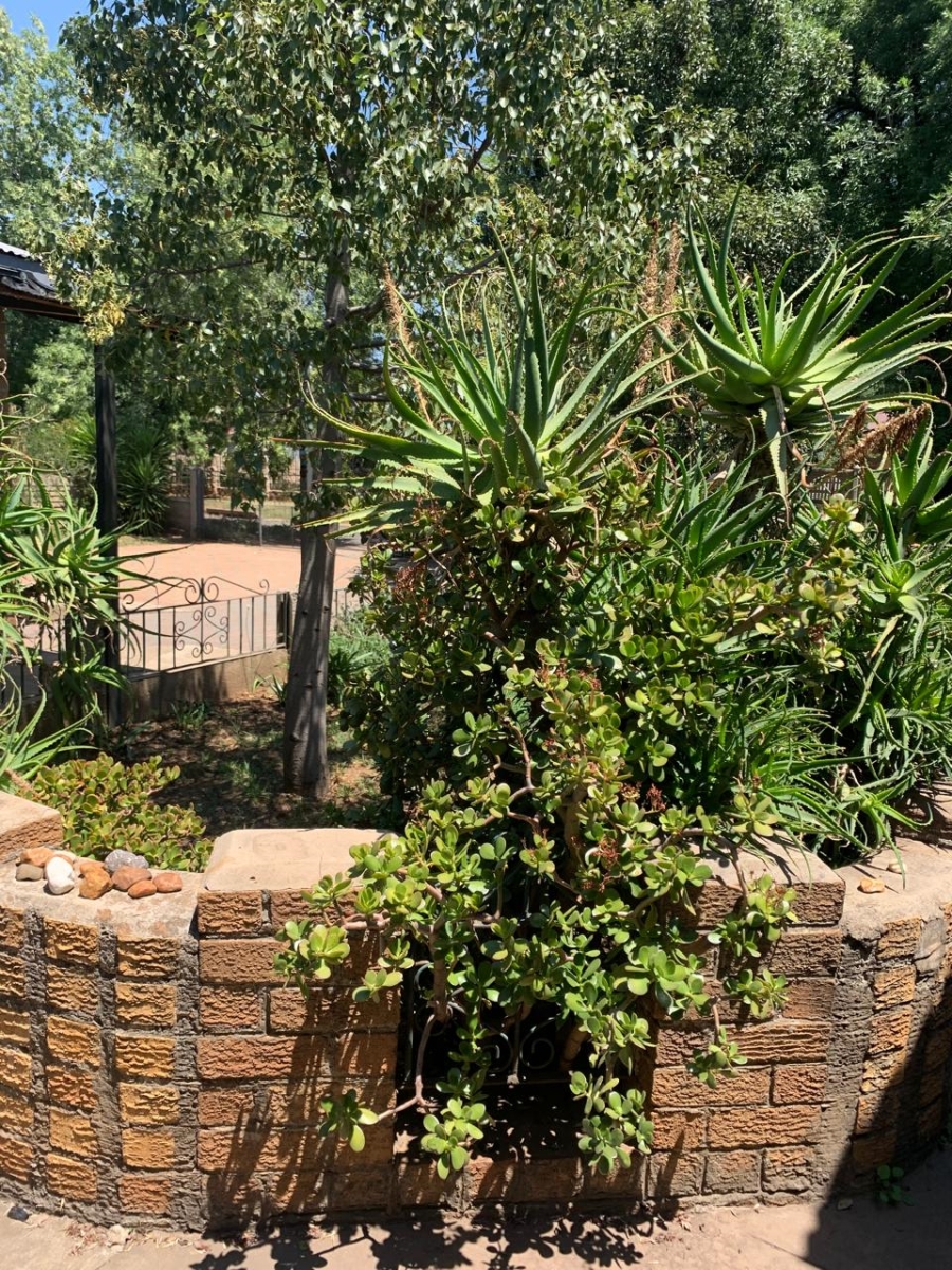 To Let 1 Bedroom Property for Rent in Vanderbijlpark SW 5 Gauteng