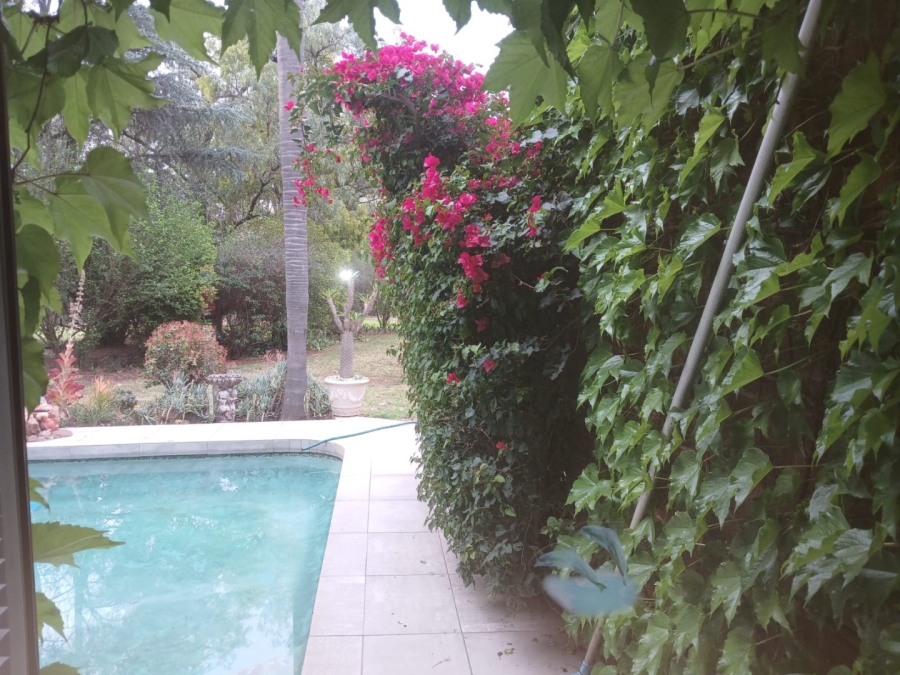 5 Bedroom Property for Sale in Benoni Small Farms Gauteng