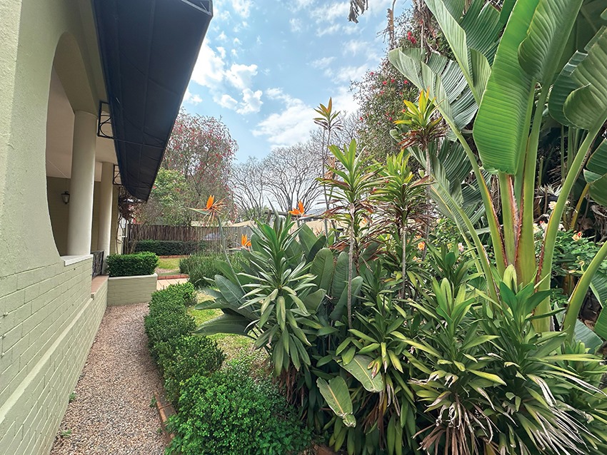 To Let 2 Bedroom Property for Rent in Highlands North Gauteng
