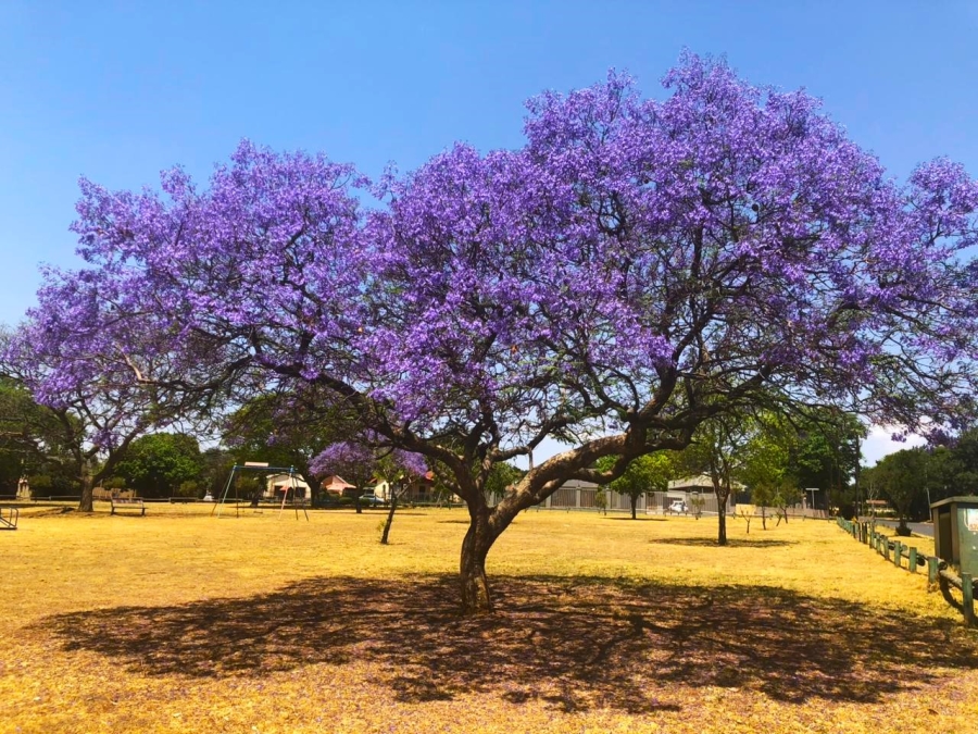 4 Bedroom Property for Sale in Montgomery Park Gauteng