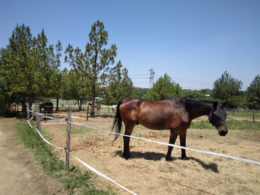 To Let 1 Bedroom Property for Rent in Kyalami Ah Gauteng