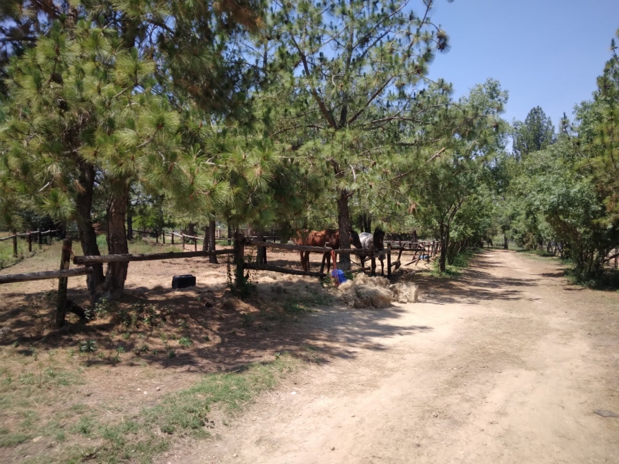 To Let 1 Bedroom Property for Rent in Kyalami Ah Gauteng