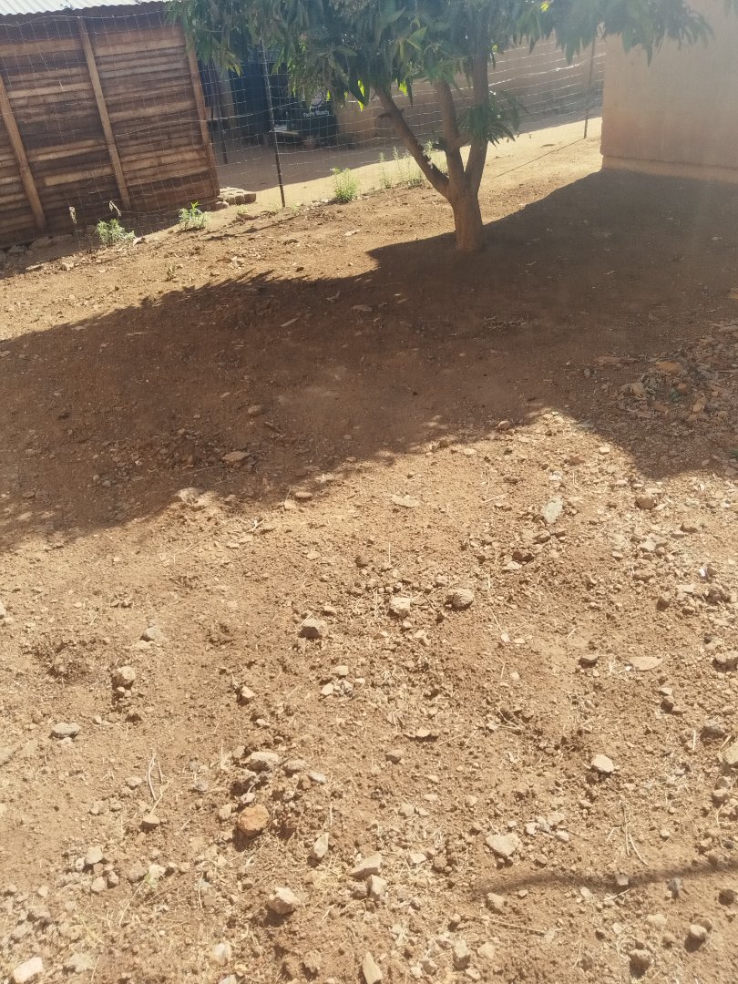 2 Bedroom Property for Sale in Soshanguve South Ext 1 Gauteng