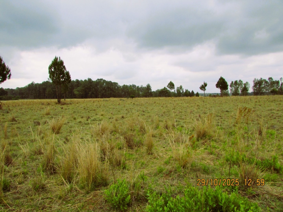 Commercial Property for Sale in Rayton Gauteng