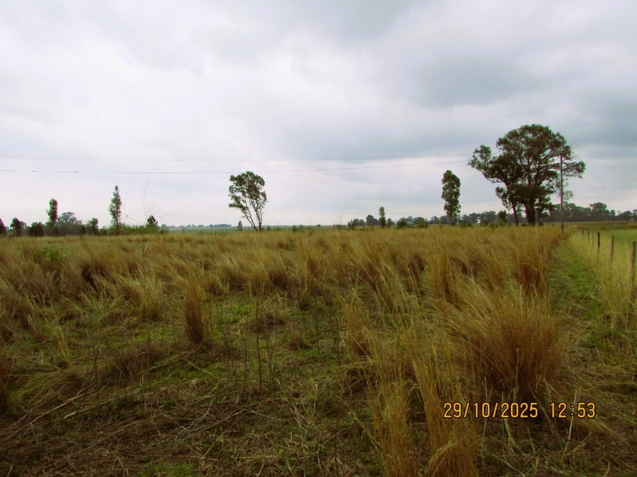 Commercial Property for Sale in Rayton Gauteng