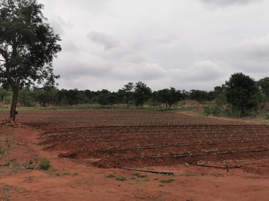 Commercial Property for Sale in Cullinan Rural Gauteng