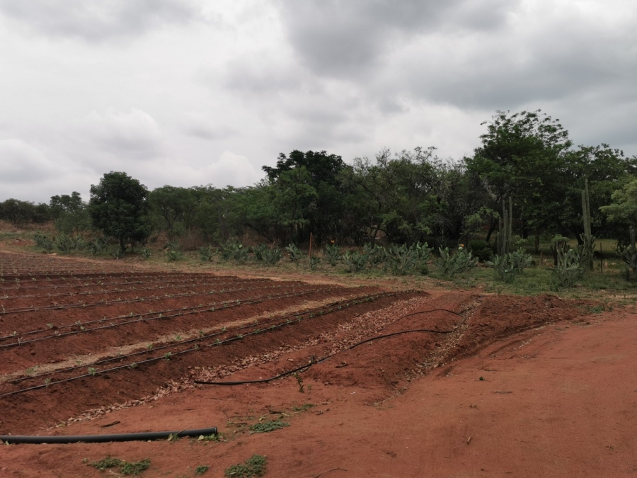 Commercial Property for Sale in Cullinan Rural Gauteng