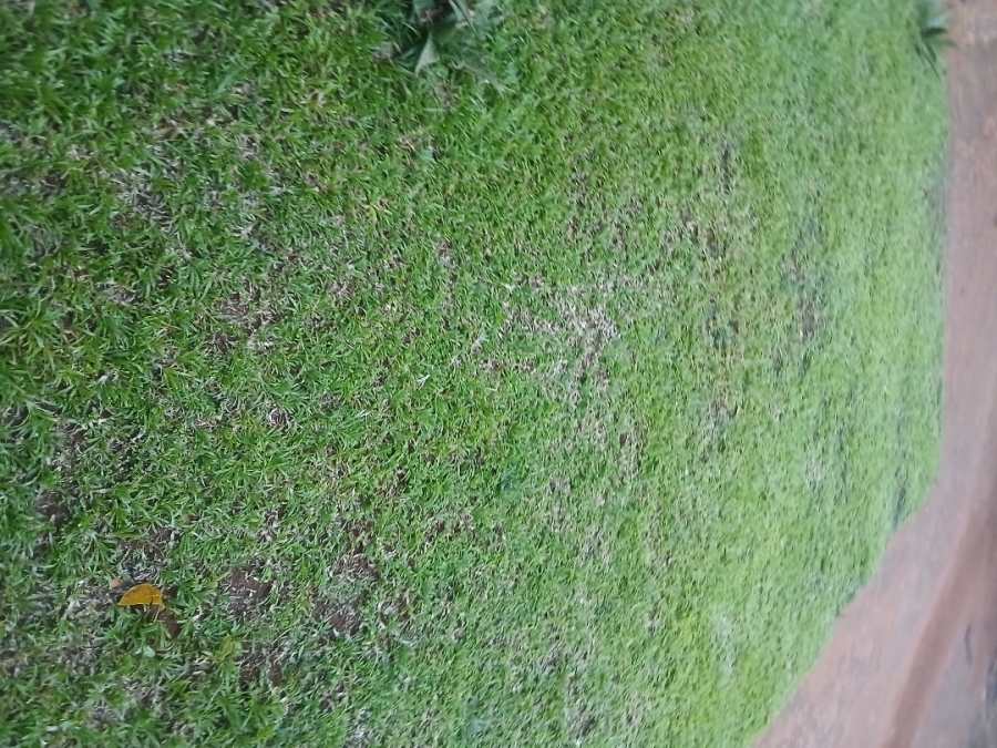 2 Bedroom Property for Sale in Soshanguve WW Gauteng